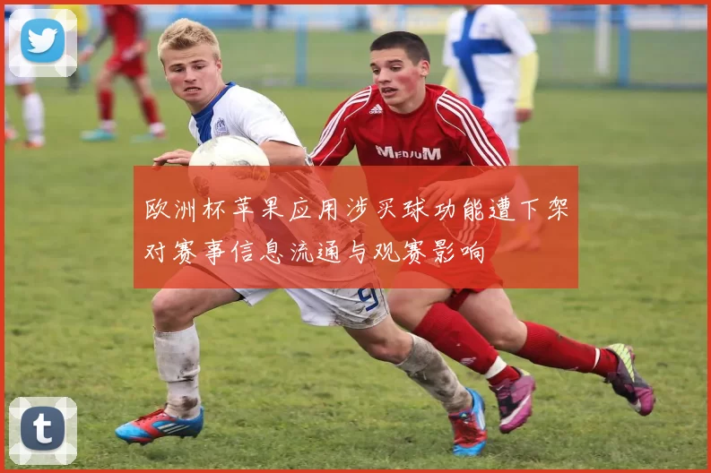 欧洲杯苹果应用涉买球功能遭下架对赛事信息流通与观赛影响