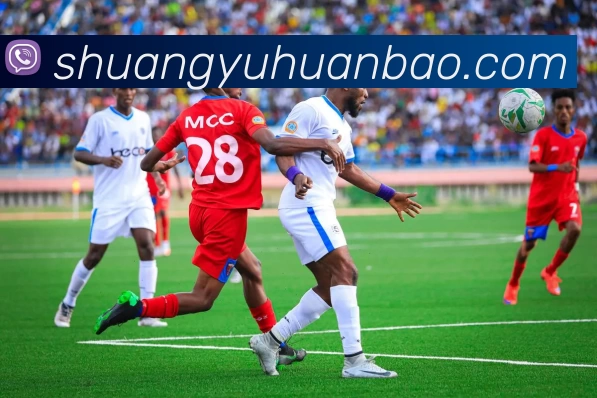 数据防护可视化